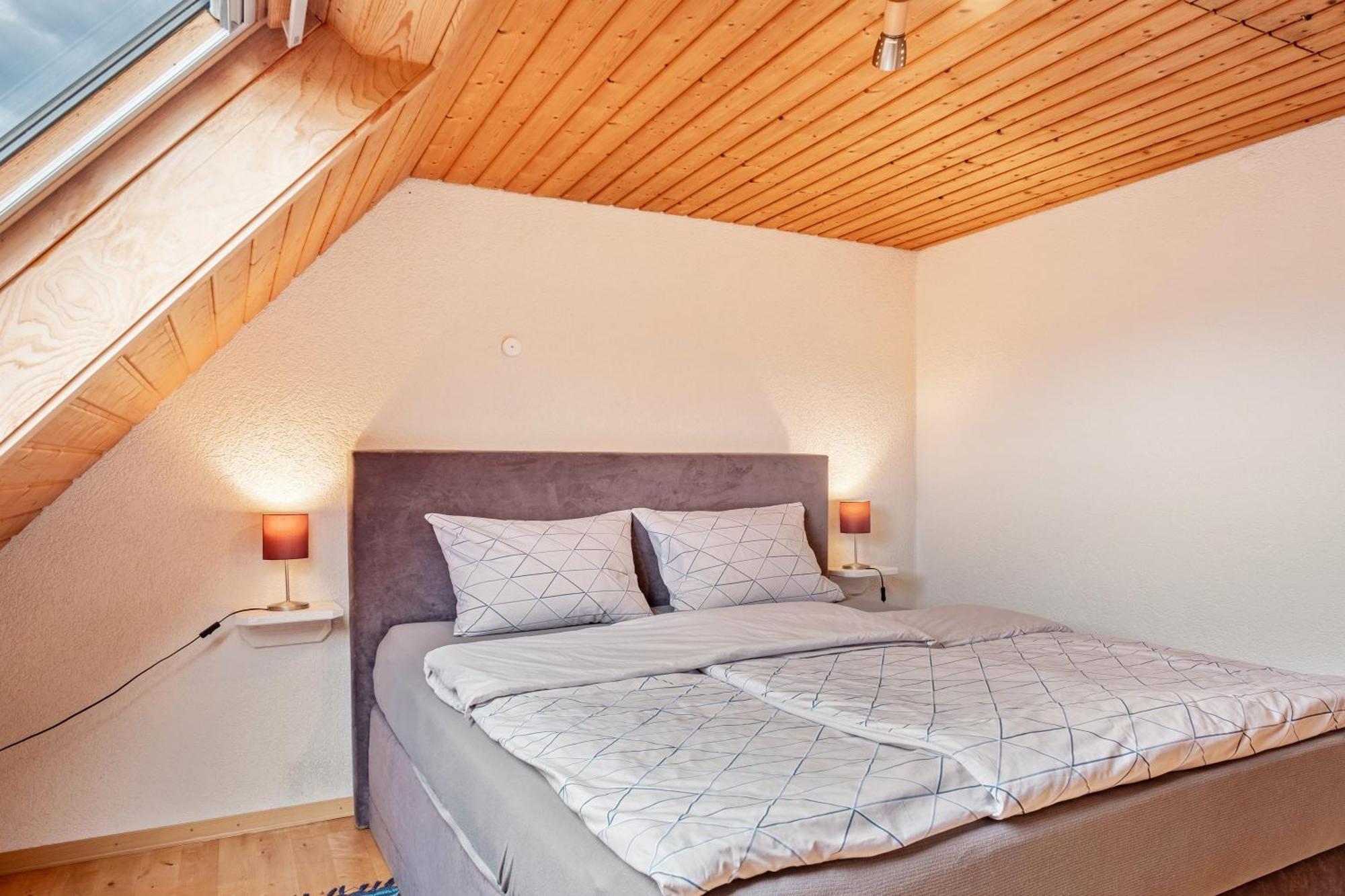 Appartement Lehen 프라이부르크 임 브리스가우 외부 사진