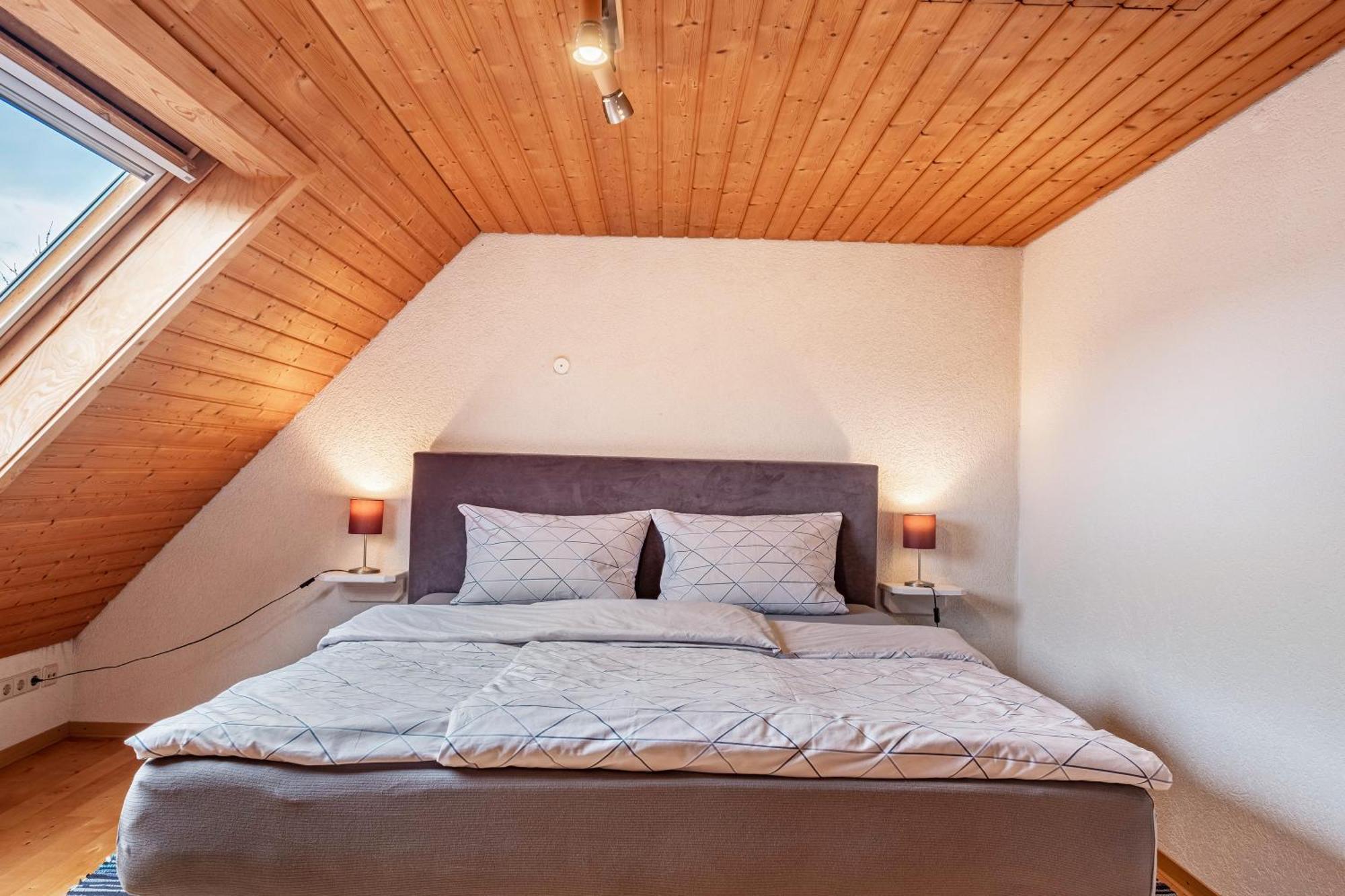Appartement Lehen 프라이부르크 임 브리스가우 외부 사진
